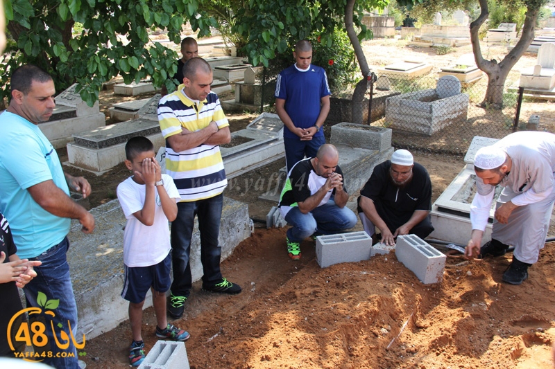 tasheey3 jamal pbpobaly (6).JPG